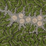 Michelle Possum Nungurrayi Aboriginal Art