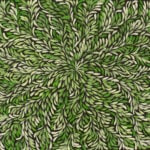 Louise Numina Napananka Aboriginal Art