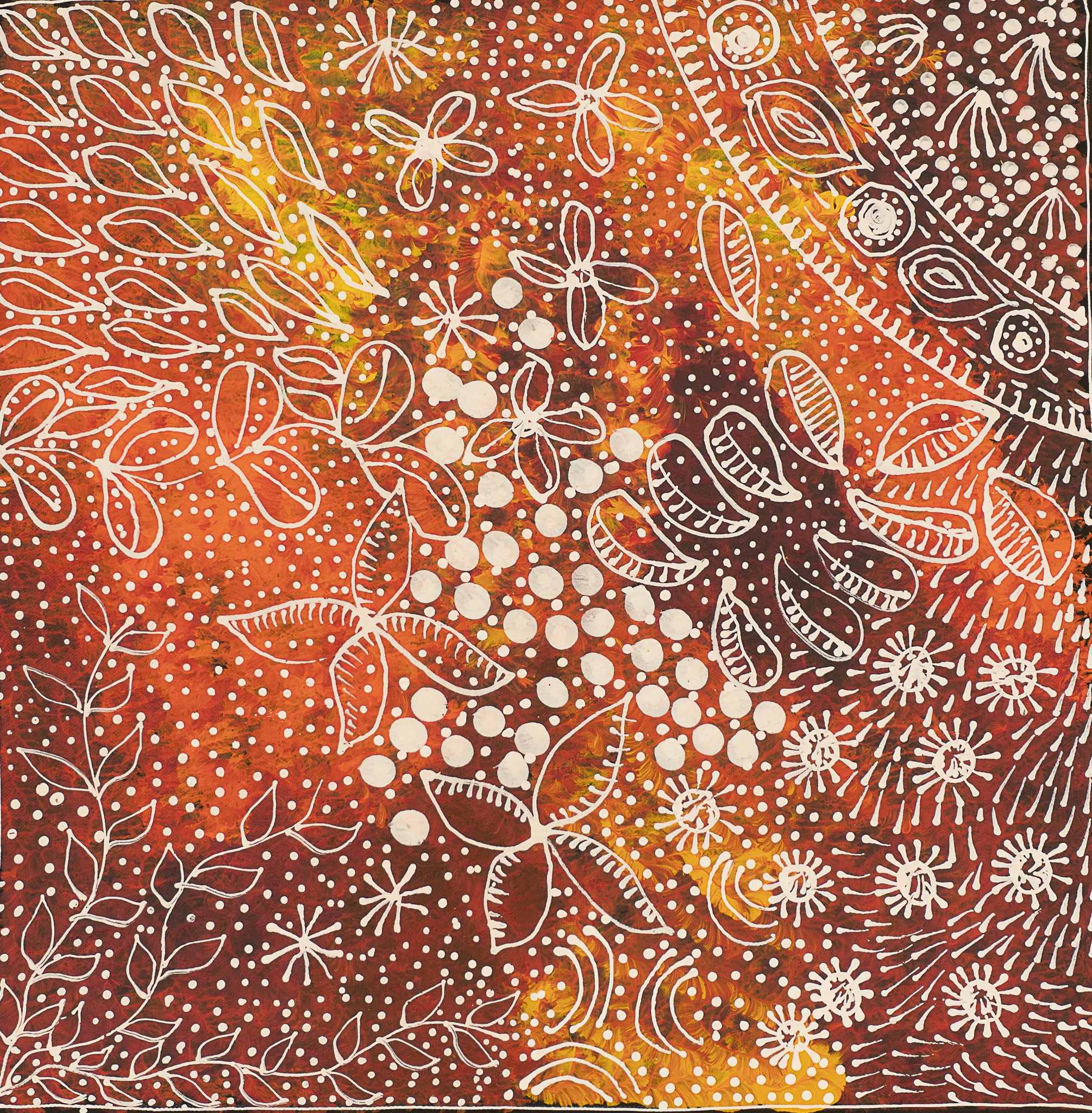 Tanya Bird Mpetyane Aboriginal Art