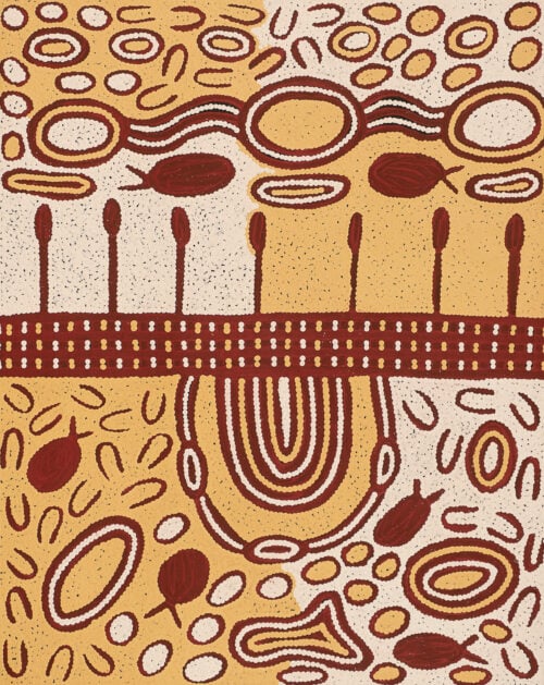 Melissa Nungarrayi Larry Aboriginal Art