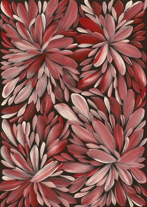 Louise Numina Napananka Aboriginal Art