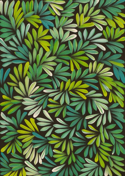 Louise Numina Napananka Aboriginal Art
