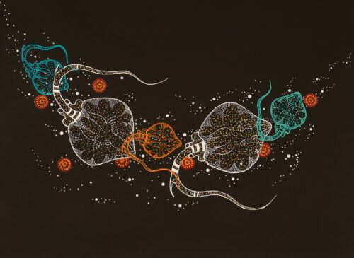 Anthony J Walker Aboriginal Art