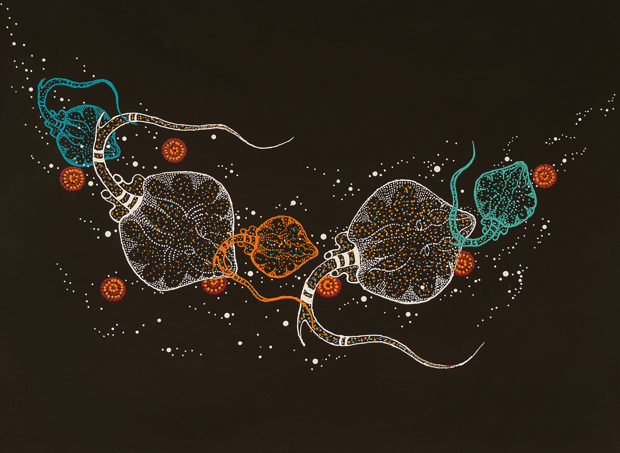 Anthony J Walker Aboriginal Art