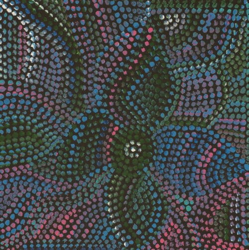 Joy Petyarre Aboriginal Art