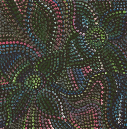 Joy Petyarre Aboriginal Art