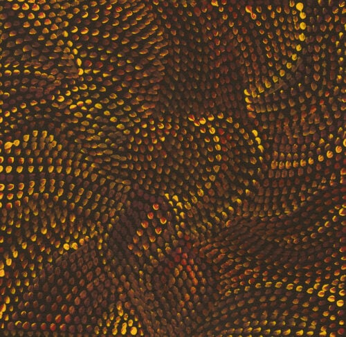 Joy Petyarre Aboriginal Art