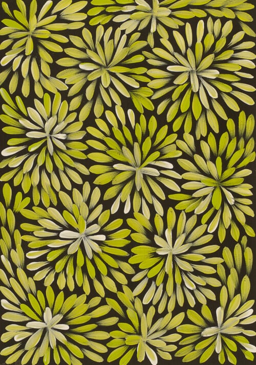 Louise Numina Napananka Aboriginal Art