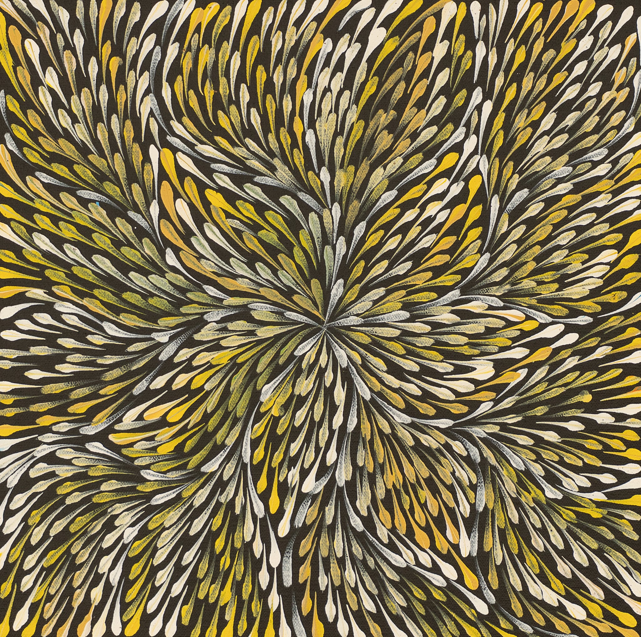 Roseanne Morton Petyarre Aboriginal Art