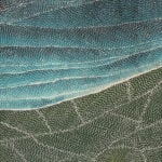 Sarrita King Aboriginal Art