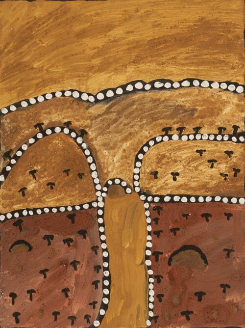 Peter Gooloou Thomas Aboriginal Art