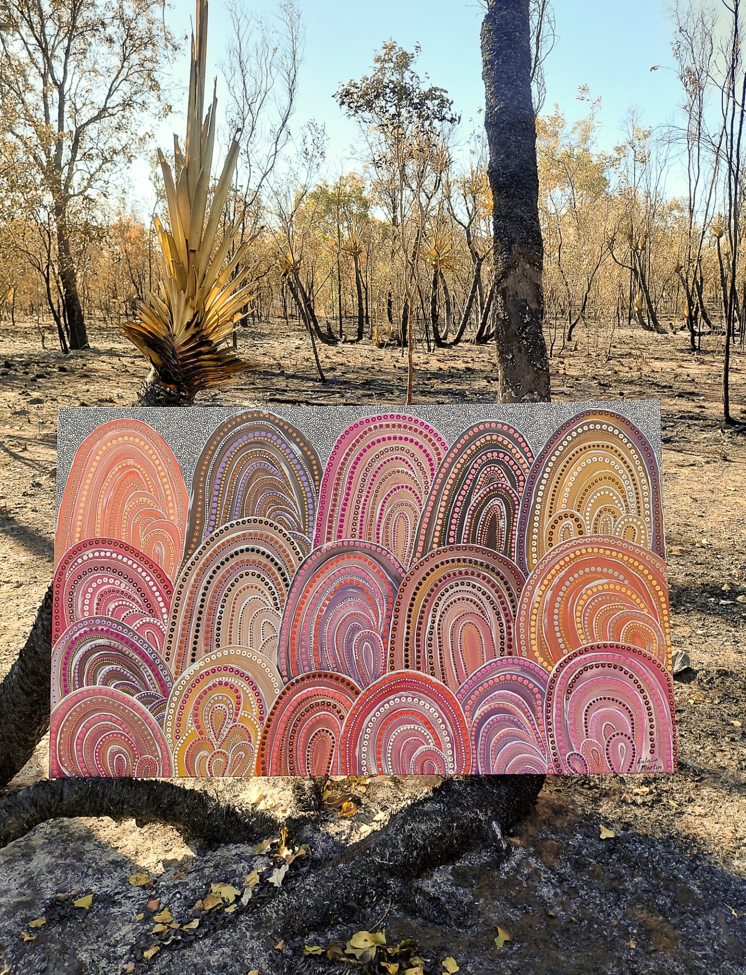 Eulalia Nawajarri Martin Aboriginal Art