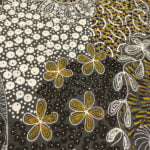 Alvira Bird Mpetyane Aboriginal Art