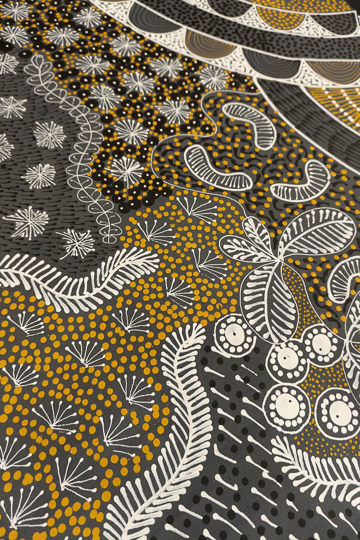 Alvira Bird Mpetyane Aboriginal Art