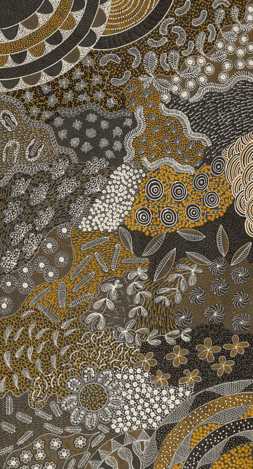 Alvira Bird Mpetyane Aboriginal Art