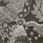 Alvira Bird Mpetyane Aboriginal Art