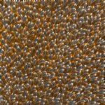 Abie Loy Kemarre Aboriginal Art