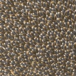Abie Loy Kemarre Aboriginal Art