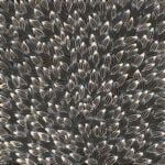 Abie Loy Kemarre Aboriginal Art