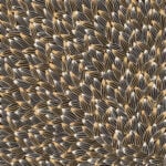 Abie Loy Kemarre Aboriginal Art