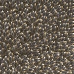Abie Loy Kemarre Aboriginal Art