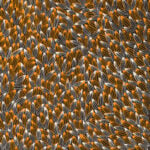 Abie Loy Kemarre Aboriginal Art