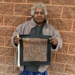 Abie Loy Kemarre Aboriginal Art