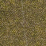 Annie Nelson Napangardi Aboriginal Art