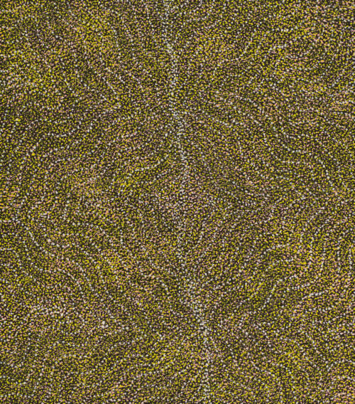 Annie Nelson Napangardi Aboriginal Art