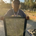 Annie Nelson Napangardi Aboriginal Art