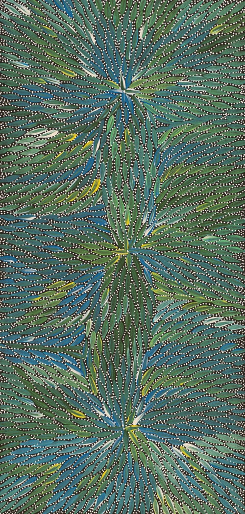 Bernadine Johnson Kemarre Aboriginal Art