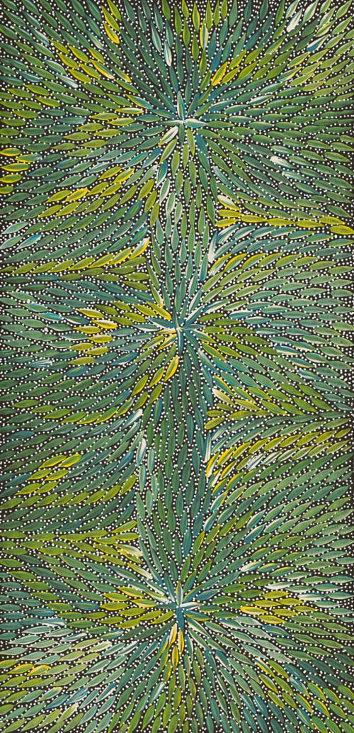 Bernadine Johnson Kemarre Aboriginal Art