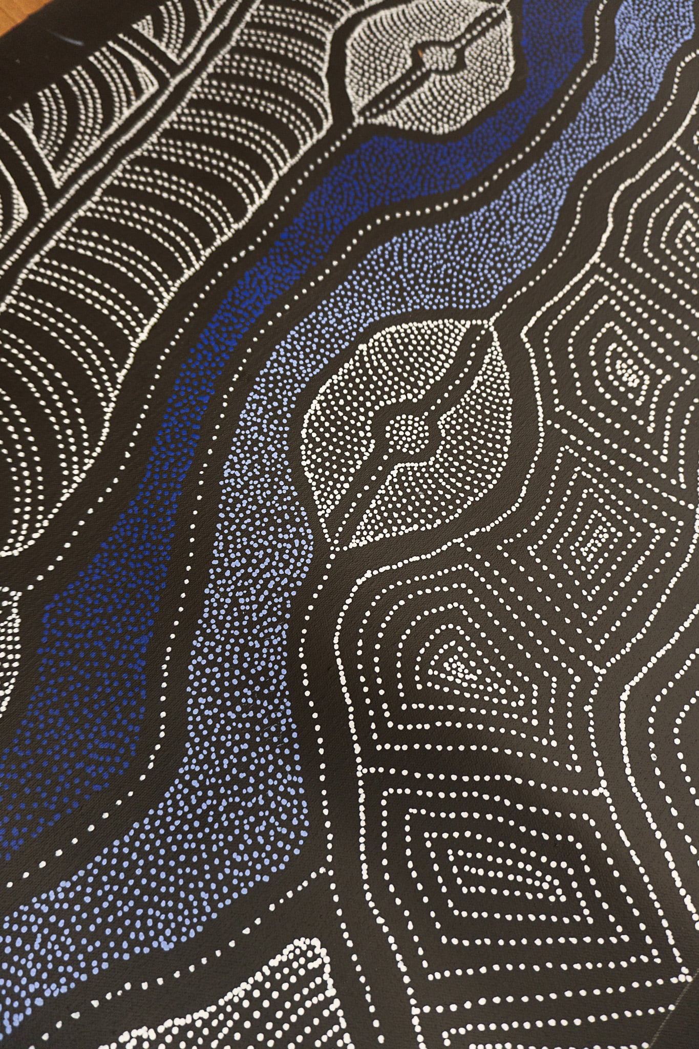 Delvine Petyarre Aboriginal Art