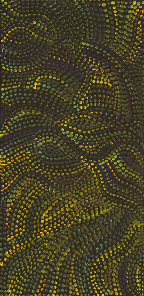 Joy Petyarre Aboriginal Art