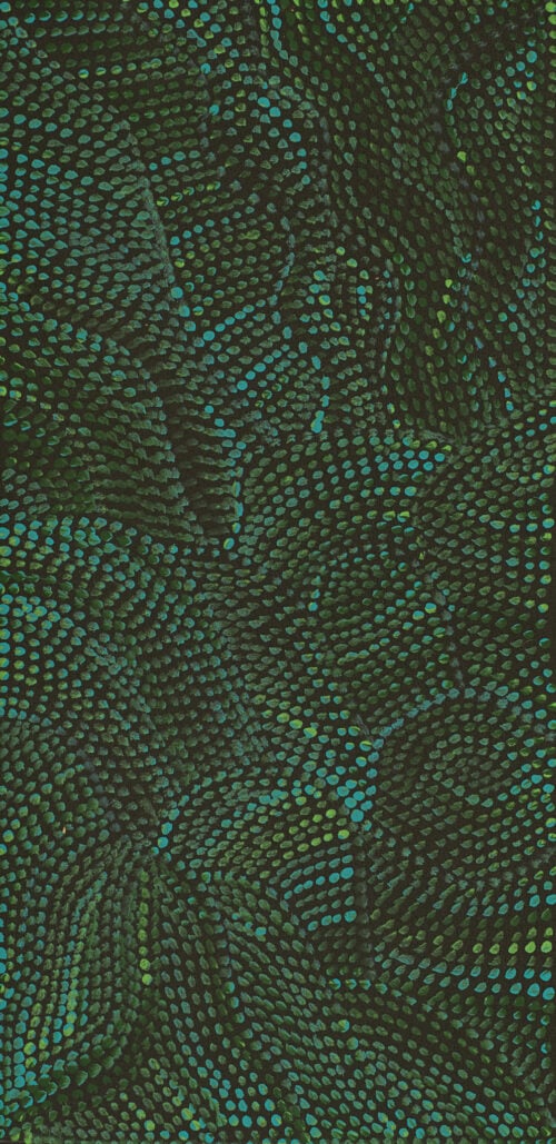 Joy Petyarre Aboriginal Art