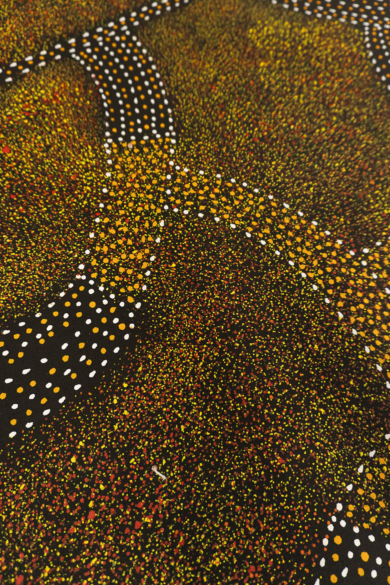 Roseanne Morton Petyarre Aboriginal Art