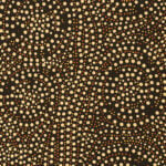 Sean Bundjalung Aboriginal Art