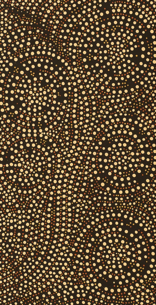 Sean Bundjalung Aboriginal Art