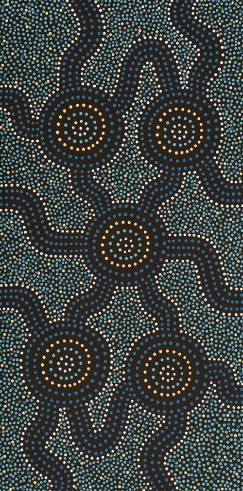 Sean Bundjalung Aboriginal Art