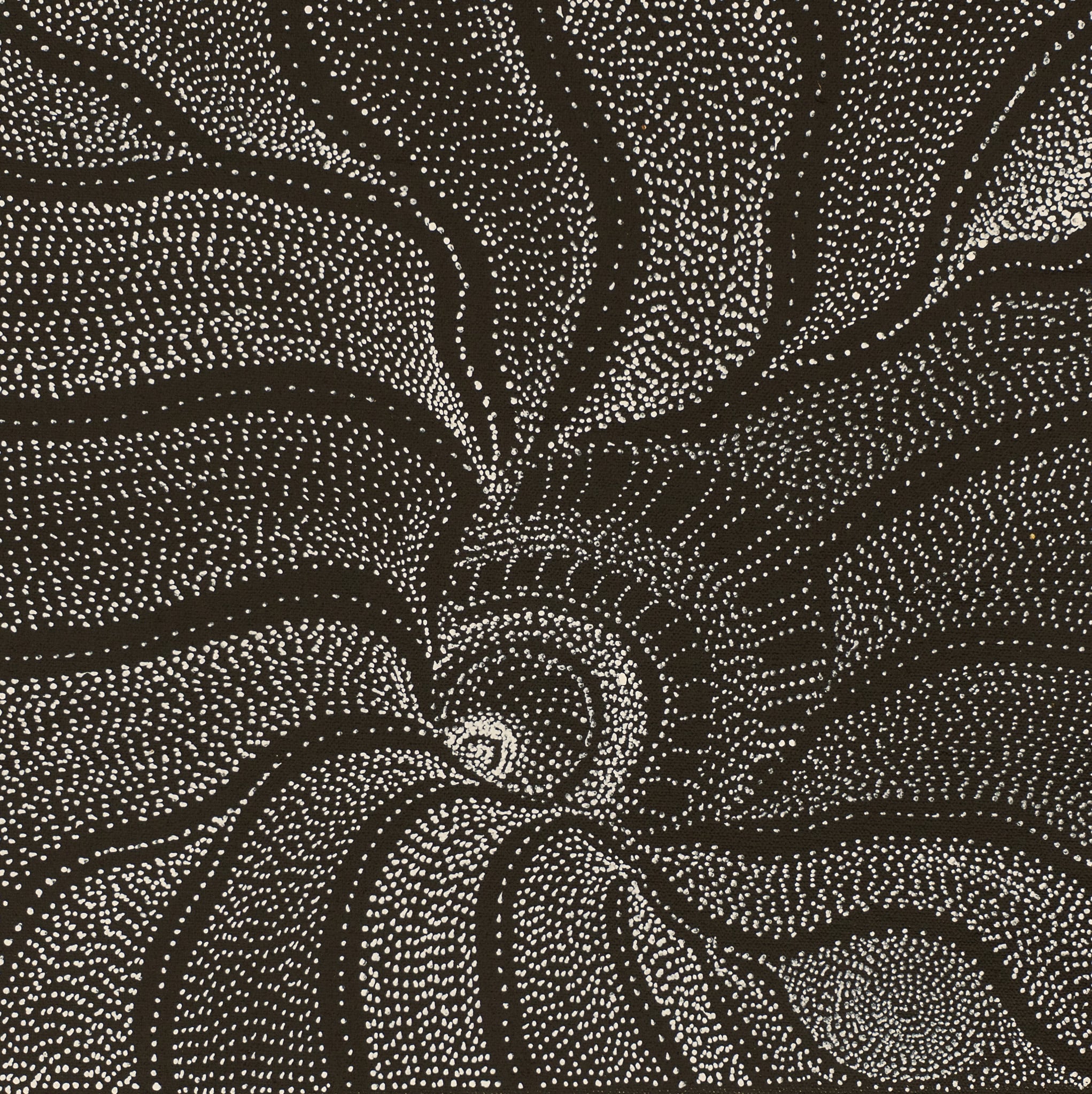 Anna Price Petyarre Aboriginal Art