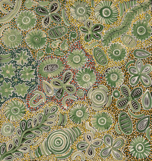 Bernadine Johnson Kemarre Aboriginal Art