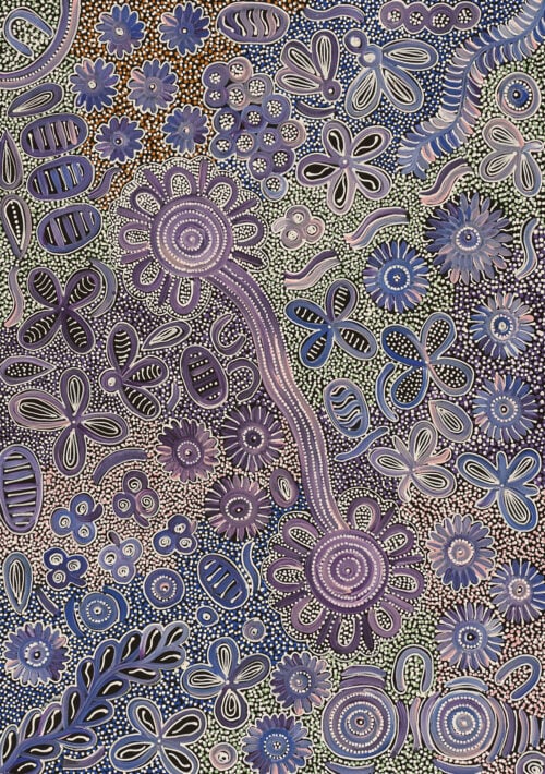 Bernadine Johnson Kemarre Aboriginal Art