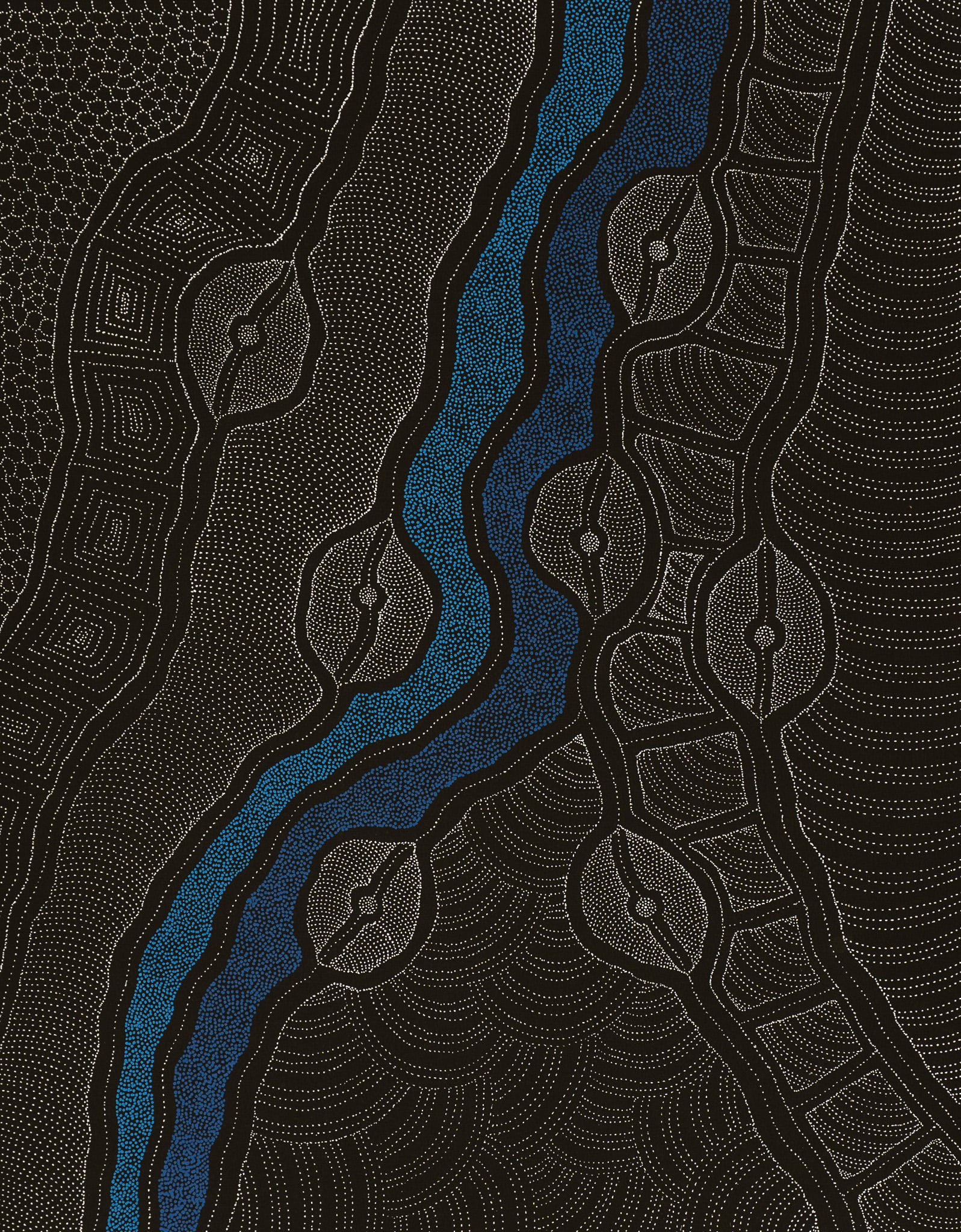 Delvine Petyarre Aboriginal Art
