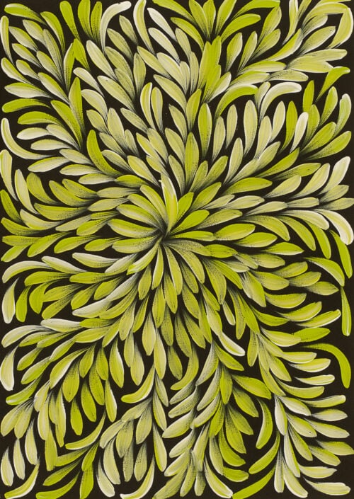 Louise Numina Napananka Aboriginal Art