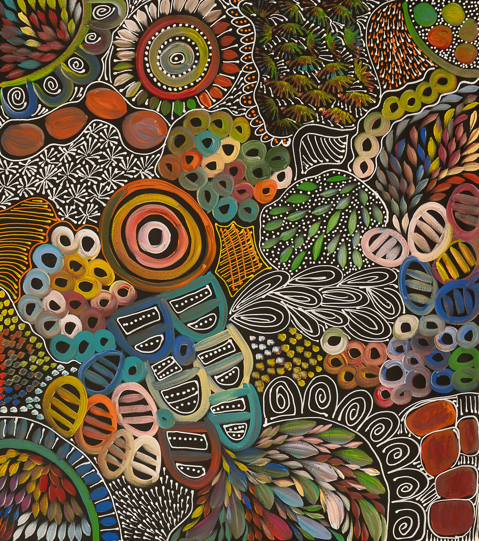 Louise Numina Napanangka Aboriginal Art