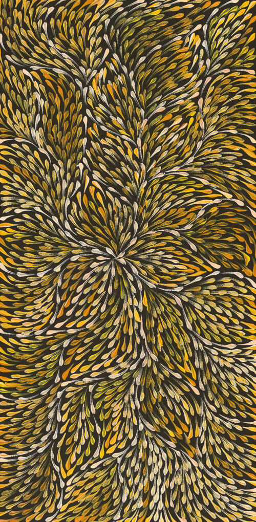 Roseanne Morton Petyarre Aboriginal Art