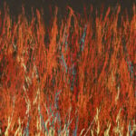Reggie Sultan Apengarte Aboriginal Art