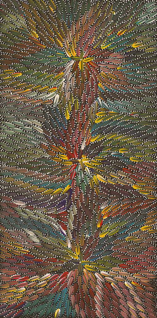 Bernadine Johnson Kemarre Aboriginal Art