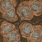 Davinder Hart Aboriginal Art