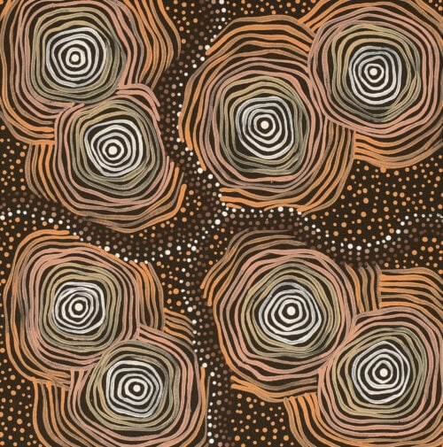 Davinder Hart Aboriginal Art